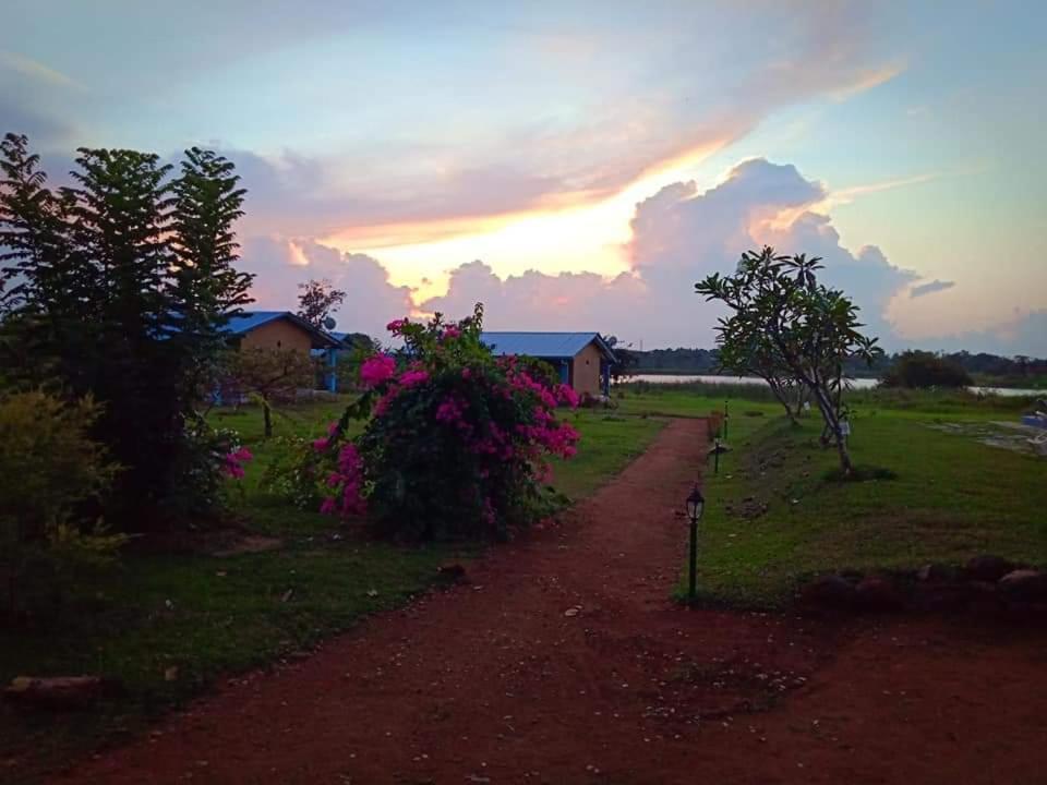 Rho Sigiriya Lake Edge Retreat Kibissa Екстериор снимка